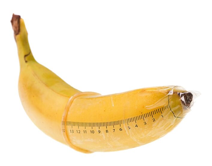 El tamaño óptimo de un pene erecto es de 10-16 cm. 